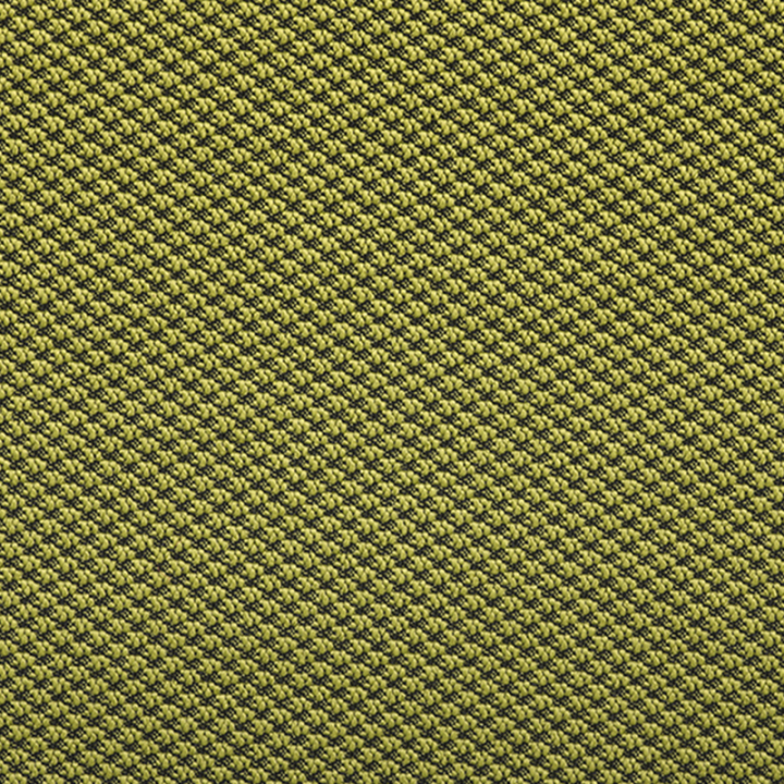 Color Alaria Fourtis