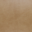color-box