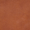 color-box