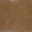color-box