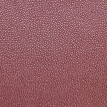 color-box