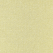 color-box