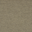 color-box