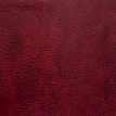 color-box