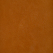 color-box