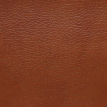 color-box