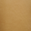 color-box