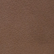 color-box