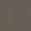 color-box