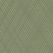 color-box