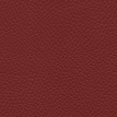 color-box