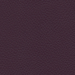 color-box