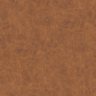 color-box