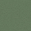 color-box