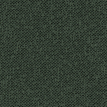 color-box