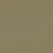 color-box