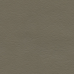 color-box