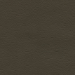 color-box