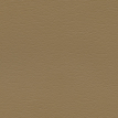 color-box