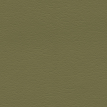 color-box
