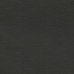color-box
