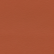 color-box