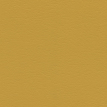 color-box