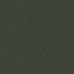 color-box