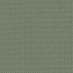 color-box