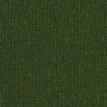 color-box