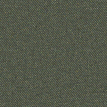 color-box