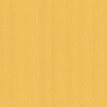 color-box