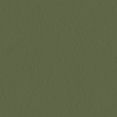 color-box