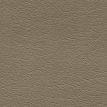 color-box