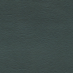color-box