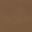 color-box