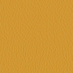 color-box