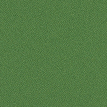 color-box