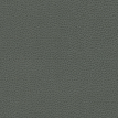 color-box