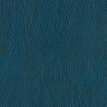 color-box