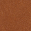 color-box