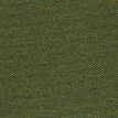 color-box