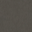color-box