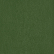 color-box