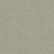 color-box