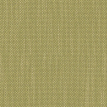 color-box