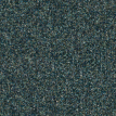 color-box