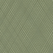 color-box