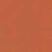 color-box