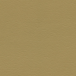 color-box